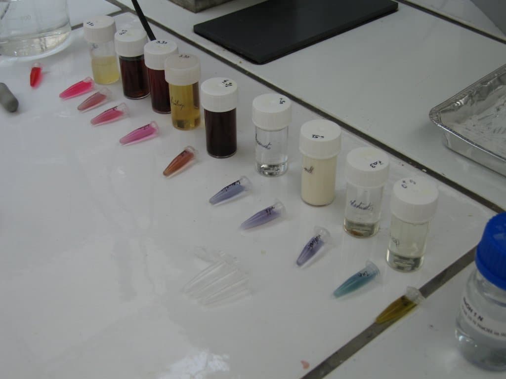 A row of small tubes of red cabbage indicator on a lab bench, going from red through pink and purple to blue-green and yellow.