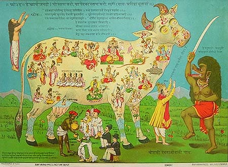 Colour lithograph of a white cow whose body is filled with small painted figures of Hindu gods and goddesses.