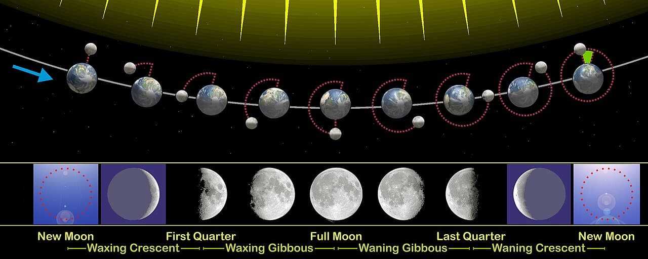 A diagram showing the Moon's phases in a ring around the Earth, from new moon through waxing phases to full moon and back.