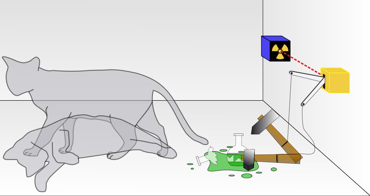 Diagram of Schrödinger's cat: a sealed box containing a cat, a Geiger counter, a flask of poison, and a radioactive source.