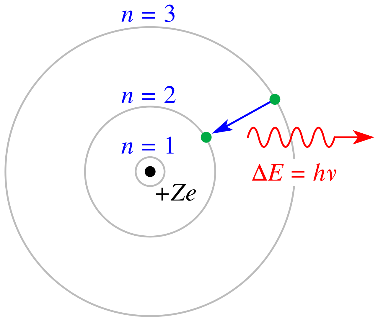Diagram of the Bohr model: a central nucleus surrounded by concentric orbits carrying electrons.