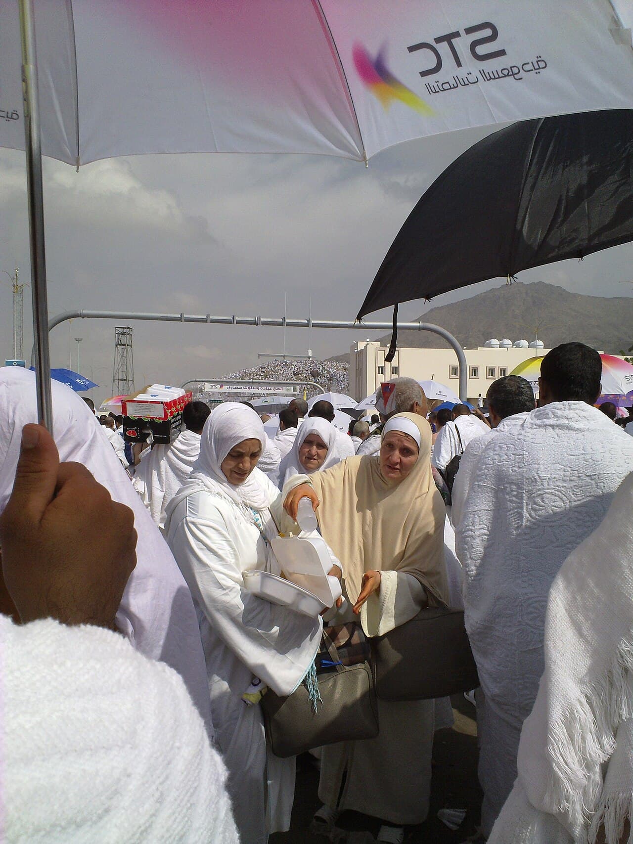 A dense crowd of pilgrims, most of the men wrapped in white cloths, walking along a road towards a rocky hill.