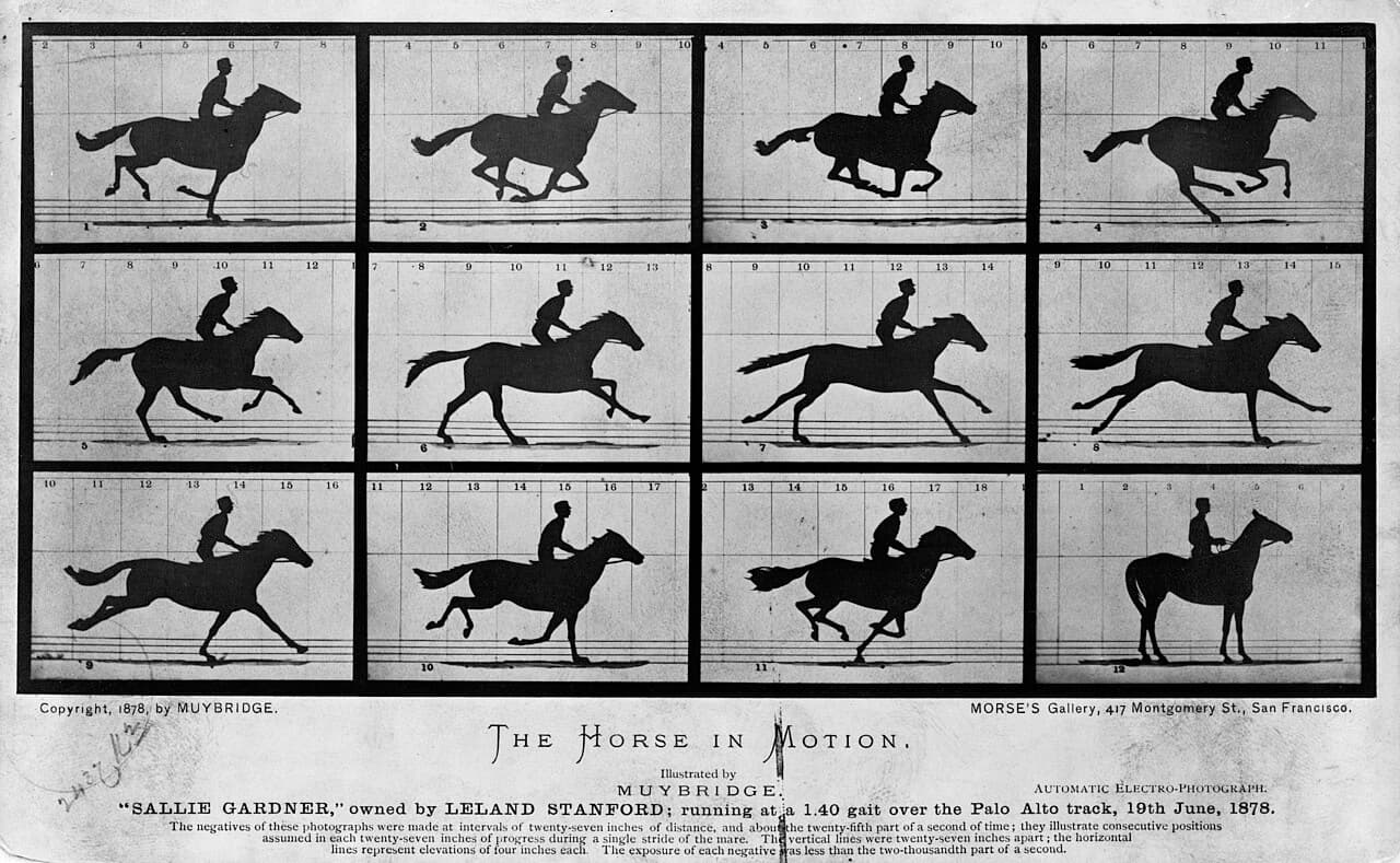 A grid of twelve small silhouette photographs of a horse and rider at successive moments of a gallop.